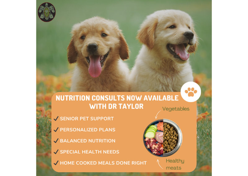 Carousel Slide 5: Want to home cook for your pet but not sure where to start? Nutrition Consults with Dr Taylor can help!