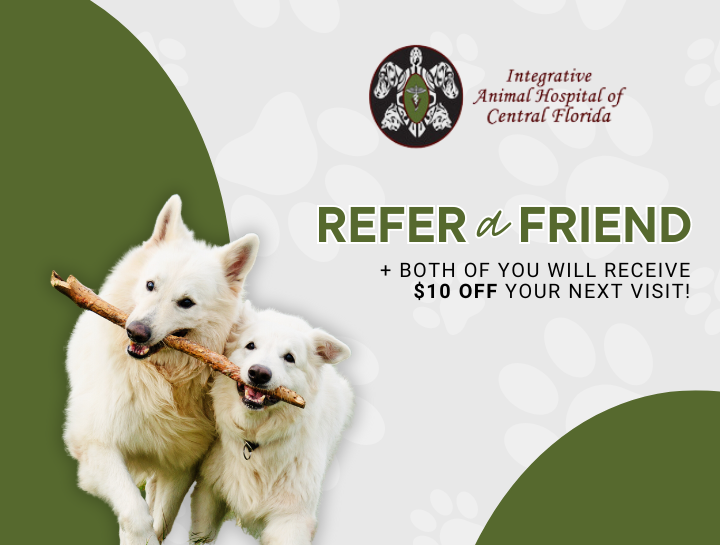 Refer a Friend